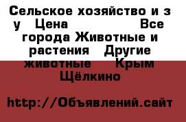 Сельское хозяйство и з/у › Цена ­ 2 500 000 - Все города Животные и растения » Другие животные   . Крым,Щёлкино